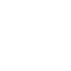 Elevator Pitch - SeeWidely