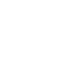 Odpowiedzialny wizerunek w social media- SeeWidely