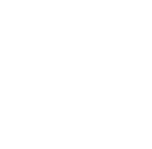 Dwumiesięczny program rozwojowy dla firm - SeeWidely